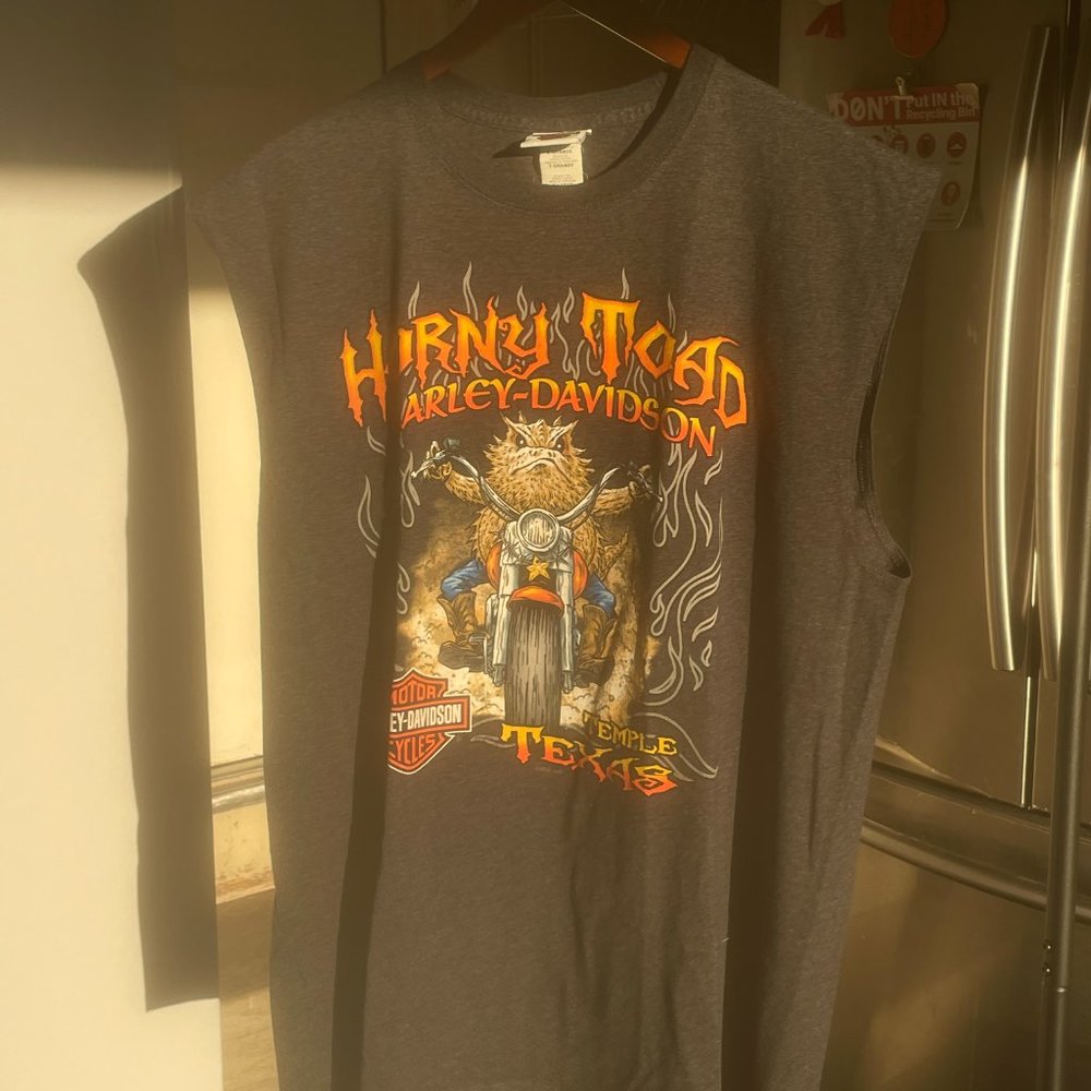 Gray Multi-Color Horny Toad Temple Texas Authentic 2007 Harley Davidson Tank XL